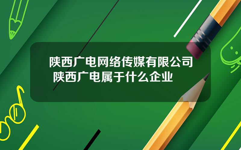 陕西广电网络传媒有限公司 陕西广电属于什么企业
